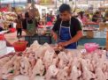Selama Ramadan Harga Ayam Naik, Ternyata ini Penyebabnya
