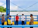 Jokowi Resmikan Kolam Regulasi Nipa-nipa, Plt Gubernur: Bisa Mengurai Genangan Banjir di Makassar