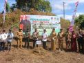 Serap Aspirasi Masyarakat Pasangkayu, Agus Ambo Djiwa Sekaligus Hadiri Penanaman Bibit Durian Musang King di Desa Bulubonggu
