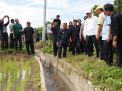Bersama Bupati Bulukumba, Prof Fadjry Djufry Tinjau Irigasi Tersier yang Berhasil Tingkatkan Hasil Panen Petani
