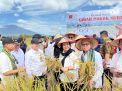 Agus Ambo Djiwa Bersama Komisi IV Panen Raya Padi Tanpa Pupuk di Agam Sumbar