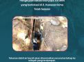 PDAM Makassar Tuntaskan Perbaikan Pipa Bocor di Kawasan KIMA Kurang dari 24 Jam, Normalisasi Tekanan Air Secara Bertahap