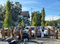 BPKPD Sulbar Laksanakan Pemeriksaan Fisik Kendaraan Dinas, Untuk Wujudkan Tertib Aset