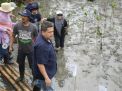 Ikuti Penanaman Mangrove di Untia, Wali Kota Makassar Sebut Komitmen Jangka Panjang untuk Lingkungan dan Ekonomi Warga Pesisir