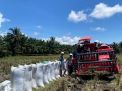 Dapat Bantuan Mesin Pemotong Padi dari Aspirasi Agus Ambo Djiwa, Kini Kelompok Tani Mamminasae Sarudu Bisa Memanen Lebih Cepat