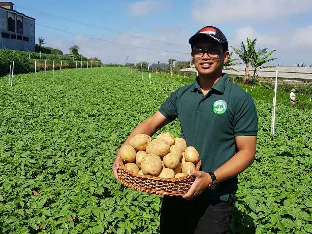 Sarjana Pertanian Ini Pilih Pulang Kampung jadi Petani, Kini Mampu Ekspor 30 Ton Kentang