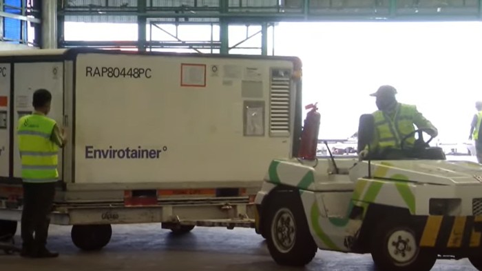 6 Juta Vaksin Sinovac dan 400 Ribu Vaksin Sinopharm Tiba di Indonesia