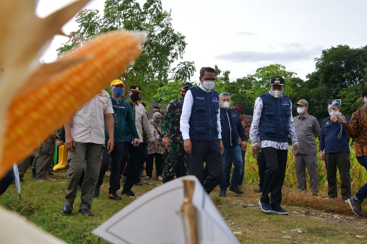 Untuk Sejahterakan Petani, Pemprov Sulsel Bersinergi dengan Perseroda, Bank Sulselbar dan Pemkab