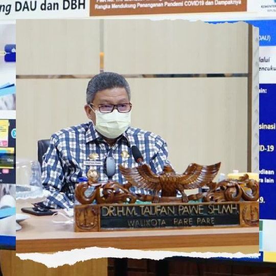 Hadiri Webinar Insentif Nakes Pusat dan Daerah, Taufan Pawe Tekankan Dukungan untuk percepatan Penyerapan Insentif