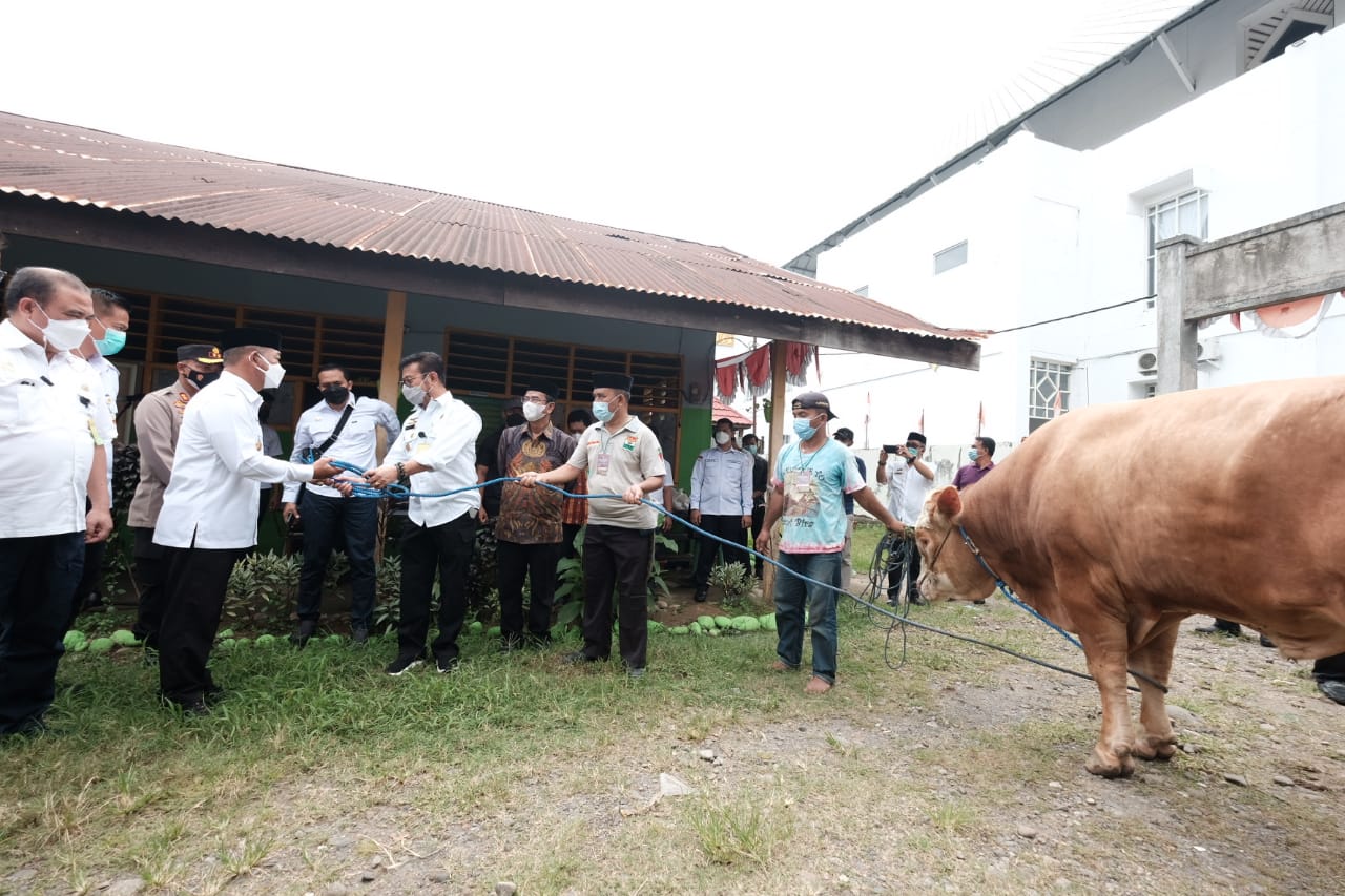 Mentan RI Serahkan Sapi Kurban ke Pengurus Masjid Agung Syekh Yusuf Gowa