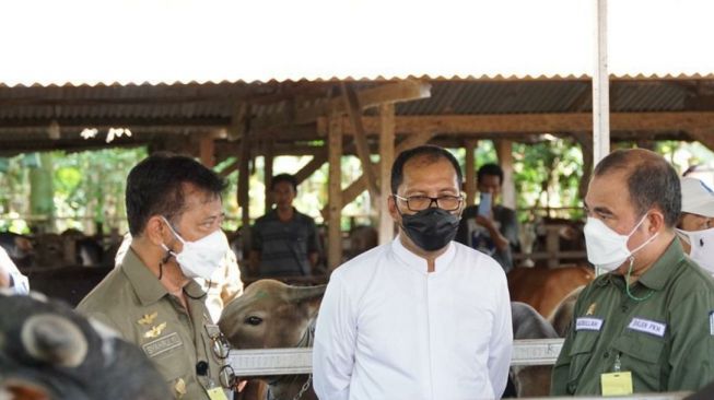 Didampingi Wali Kota, Mentan Tinjau RPH Manggala di Makassar