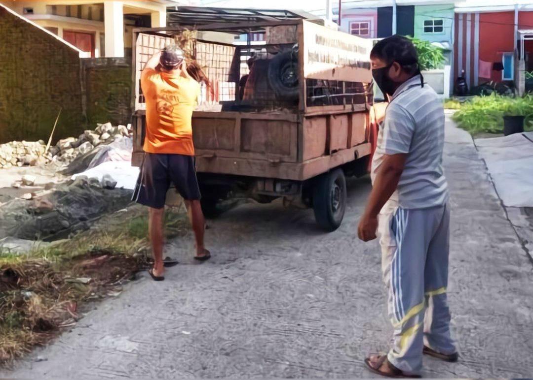 Tim Reaksi Cepat DLH Parepare Bantu Bersihkan Rumput di Rumah Warga