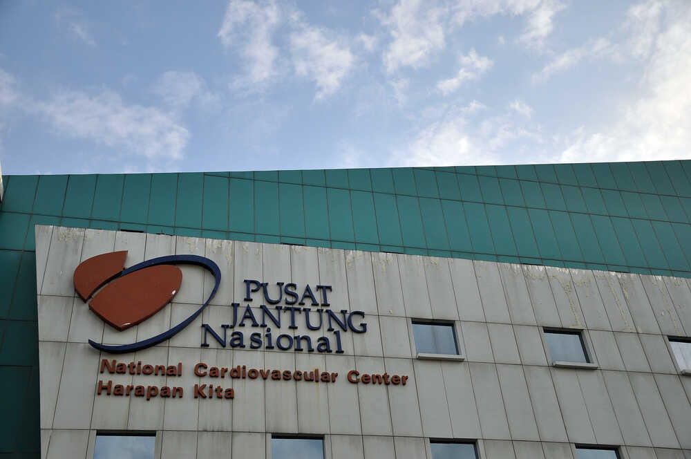 Antisipasi Penyakit Jantung Bawaan pada Anak, Ini yang Harus Dilakukan Orangtua