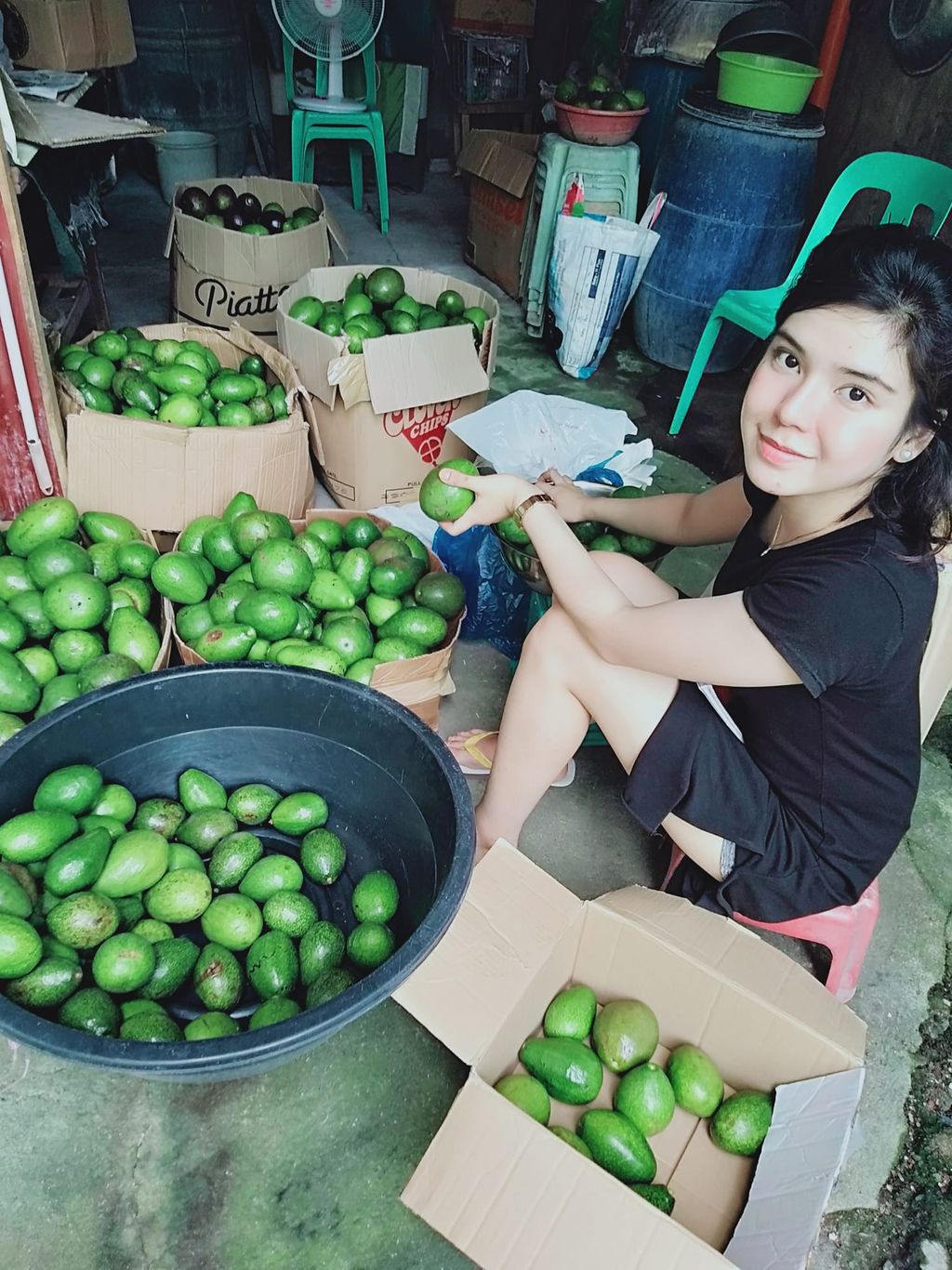 Alpukat Bisa Tingkatkan Kecerdasan, Cara Pengolahannya Tak Perlu Diblender