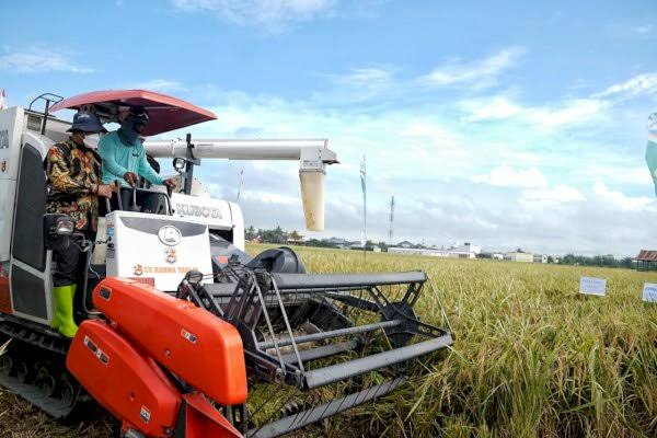 Ekonomi Sulsel Tumbuh, Sudirman: Alhamdulillah, Sektor Pertanian Berperan Besar