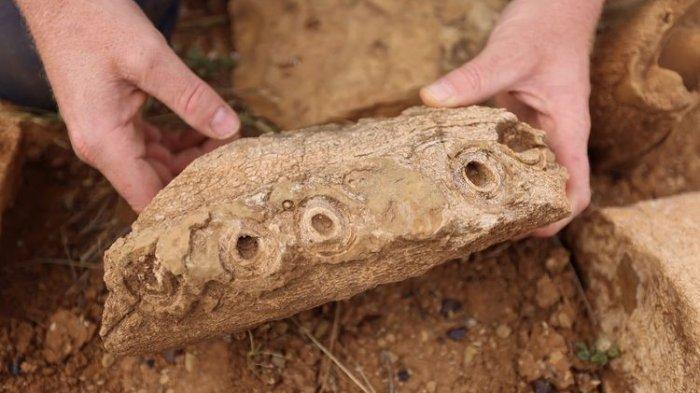 Wow! Fosil Langka Reptil Air Ditemukan di Australia, Usianya 100 Juta Tahun