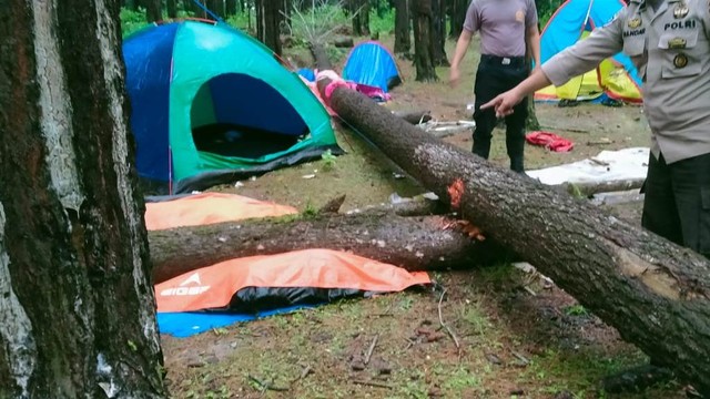 Dua Anggota Paskibraka Makassar Tewas Tertimpa Pohon saat Berkemah di Hutan Pinus Maros
