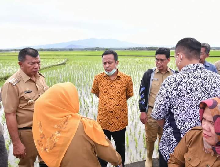 Ke Bulukumba, Andi Sudirman Pantau Program Mandiri Benih dan Mendengar Masukan dari Para Petani