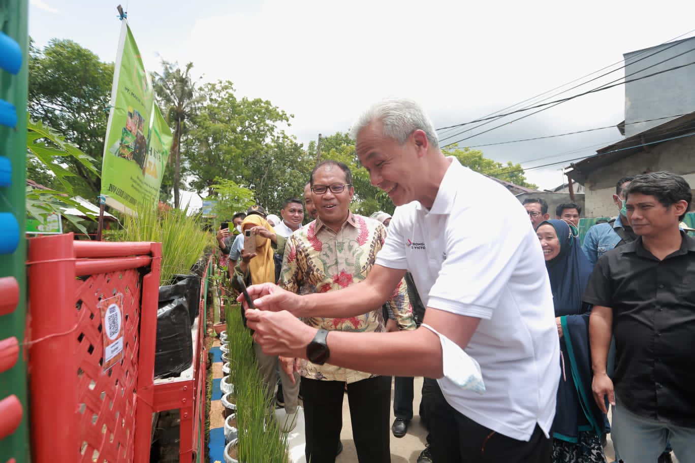 Danny-Ganjar Panen Cabai dan Ikan Nila di Lorong Wisata Sydney