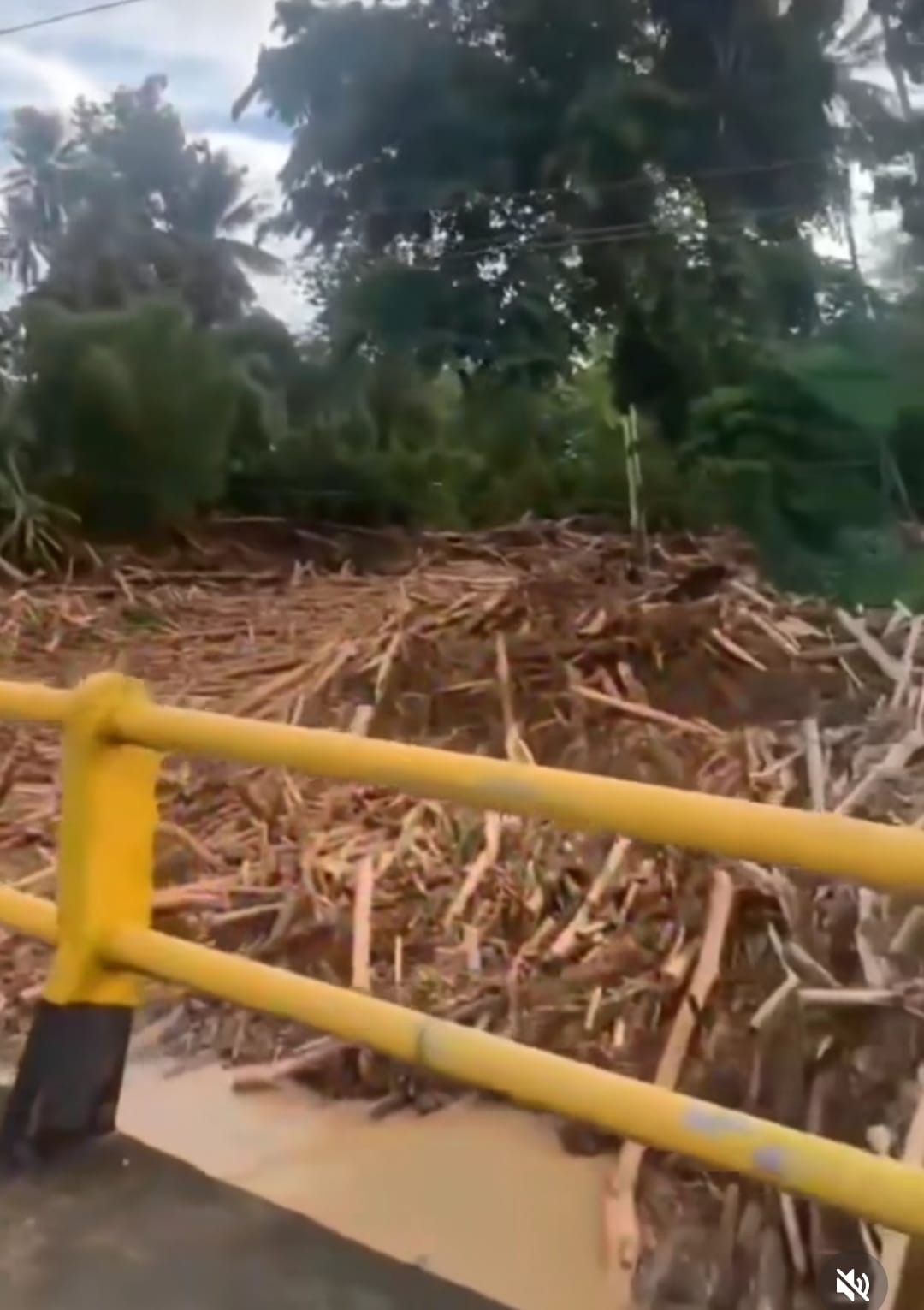 Pascabanjir Bandang, Warga Sinyonyoi Mamuju Minta Dinas Kehutanan Serius Tangani Penebangan Pohon Secara Liar