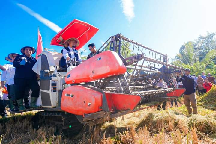 Bersama Bupati Maros dan Kepala BI Sulsel, Gubernur Tanam dan Panen Mandiri Benih Padi