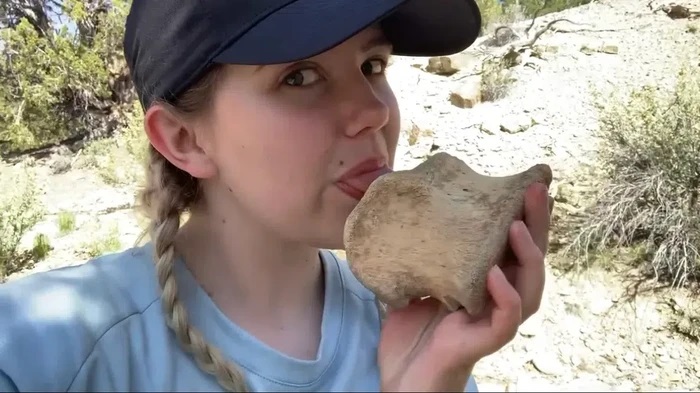 Ahli Geologi Sering Jilat Bebatuan, Ternyata Untuk Mengetahui Fosil atau Bukan