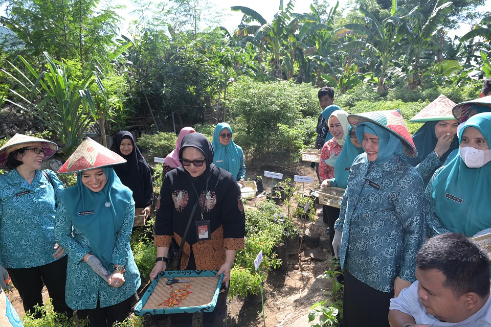 Indira Yusuf Ismail Bersama TP PKK Pusat dan TP PKK Provinsi, Tanam Cabai di Lahan KWT Sombere