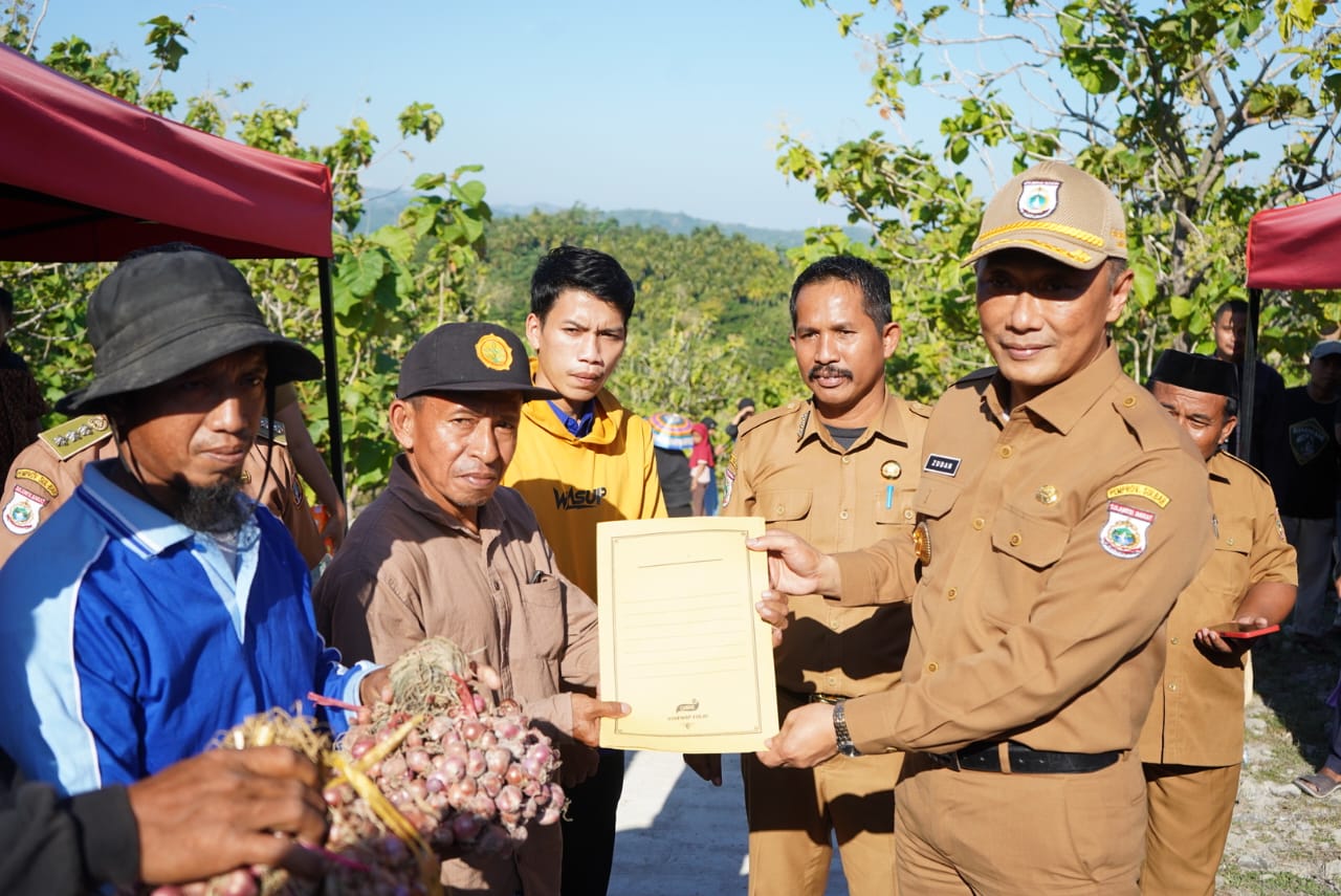 Bawang Merah Berpotensi Dikembangkan di Polman, Pj Gubernur Bakal Anggarkan untuk Akses Jalan