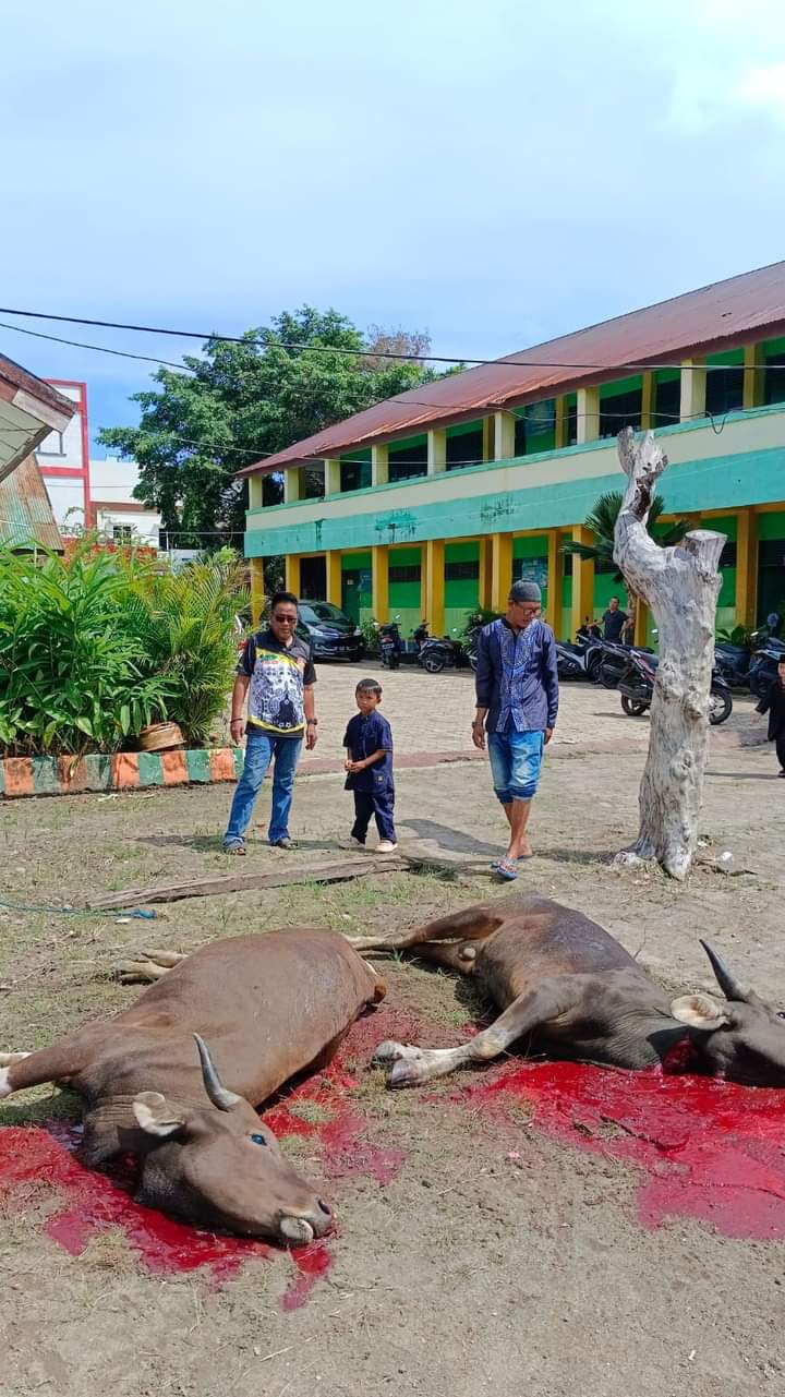 Momentum Idul Adha, SMPN 9 Parepare Berkurban Tiga Ekor Sapi
