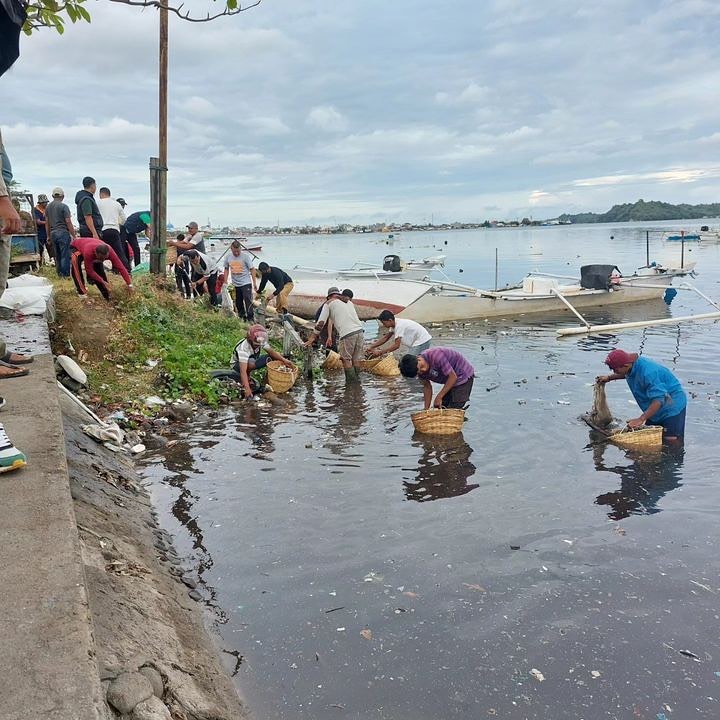 Selamat Hari Lingkungan Hidup Sedunia, Pemkot Parepare Gugah Kesadaran dan Kepedulian Kelola Lingkungan Hidup