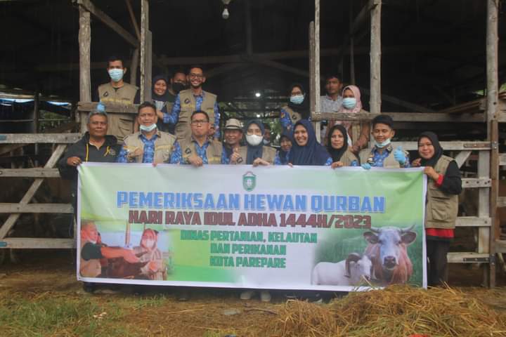 Pastikan Layak Kurban, DPKP Parepare Perketat Pemeriksaan Hewan Ternak 