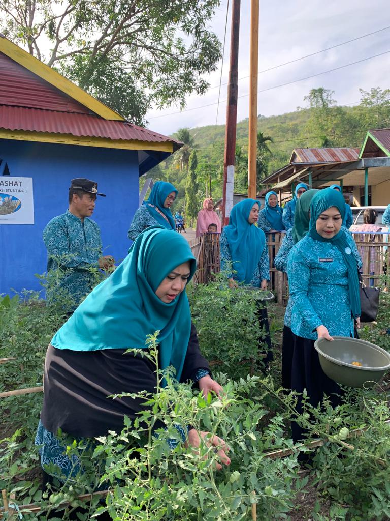 Panen Sayur di Kebun Dashat PKK Watang Bacukiki, Erna Rasyid Taufan Ingatkan Makan Sayur Dianjurkan Dalam Islam 
