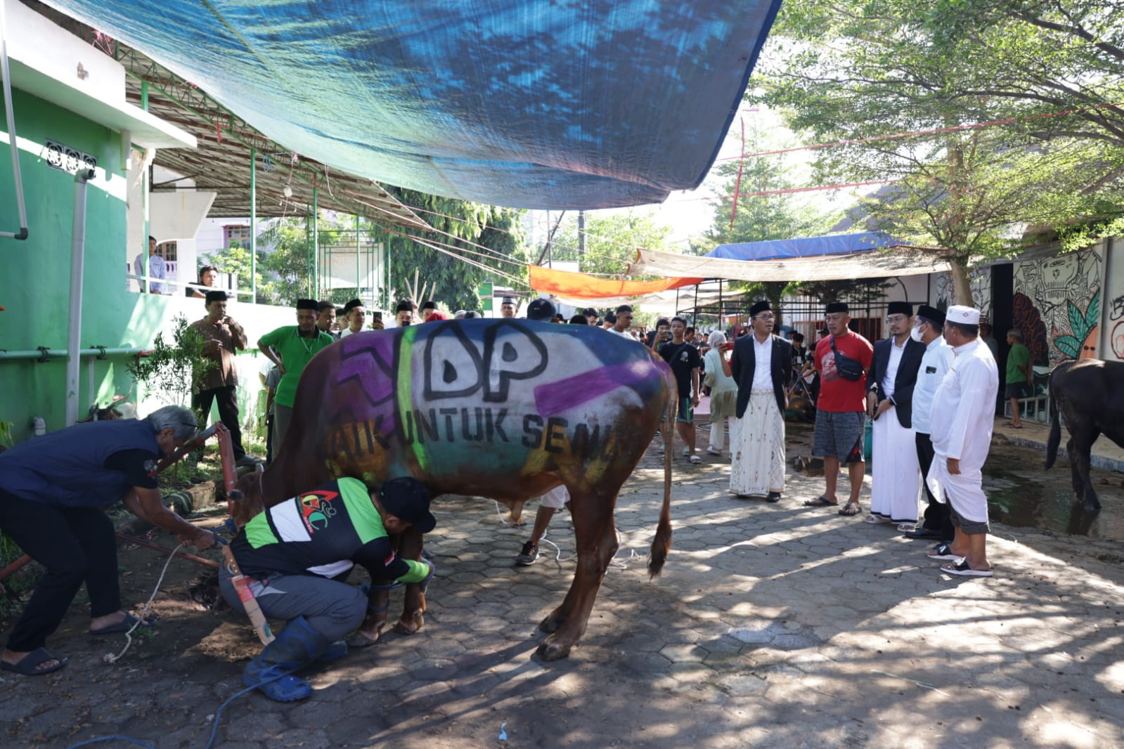 Danny Pomanto Saksikan Pemotongan Hewan Kurban dan Gelar Open House