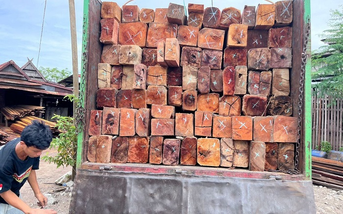 Gakkum KLHK Tetapkan ASN Dinas Kehutanan Sulbar Tersangka, Lantaran Telah Meloloskan Kayu Ilegal di Polman