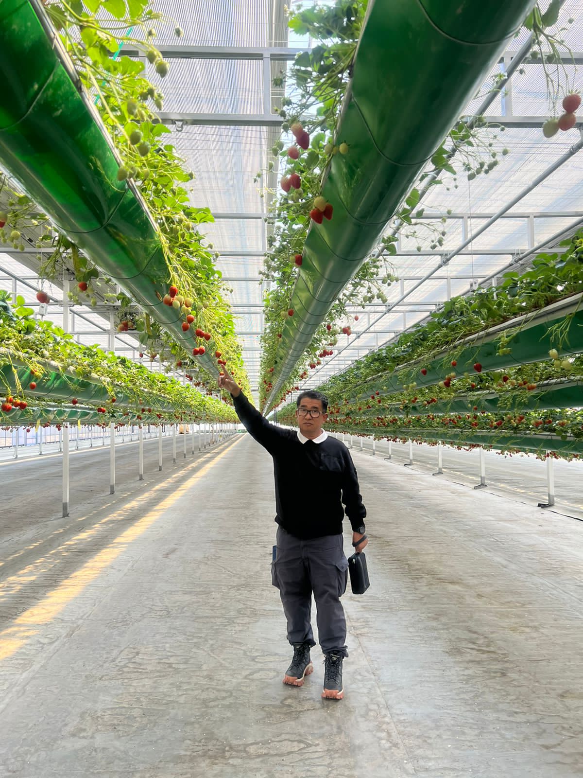 Berkunjung ke Korsel, Pj Gubernur Sulbar Pelajari Sistem Smart Farming dan Pelayanan Kesehatan Masyarakat