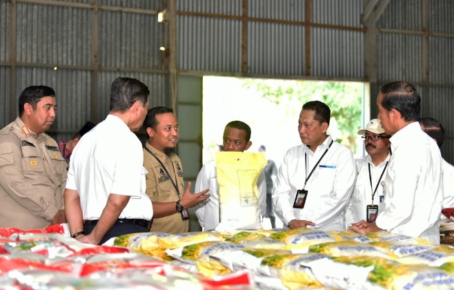 Tinjau Gudang Bulog di Maros, Presiden Sebut Beras Sulsel Banyak Diserap Provinsi Lain