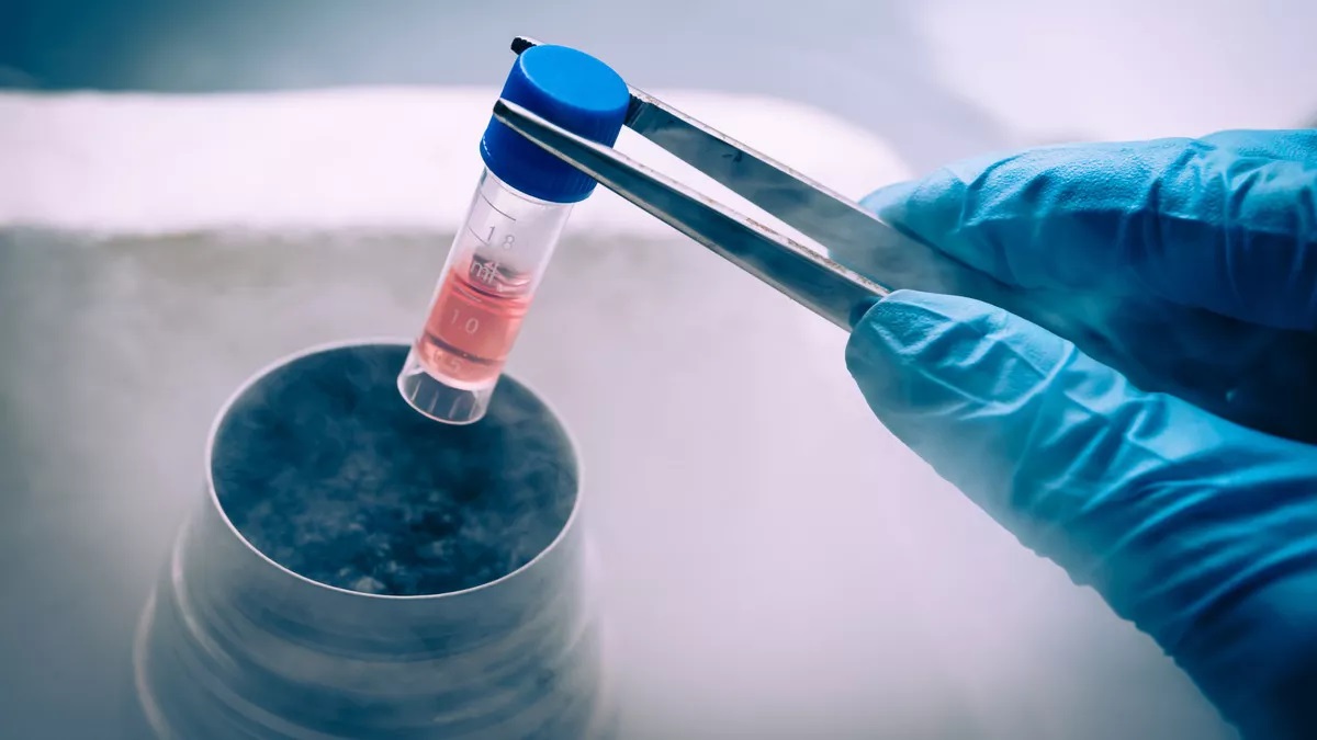 Mengenal Stem Cell, Sel Induk yang Bisa Membentuk Darah, Otak, Otot hingga Tulang