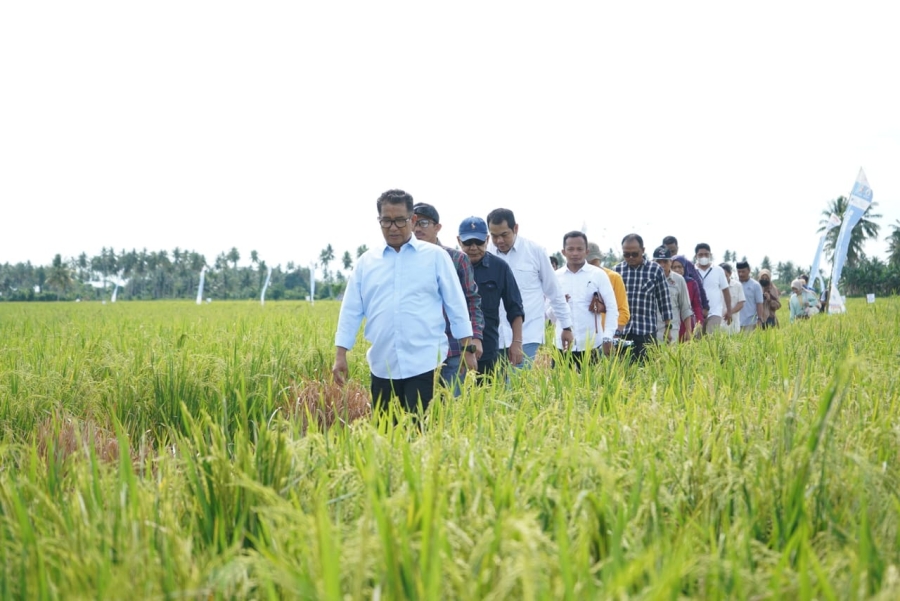 Enam Kabupaten di Sulbar Bakal Terima Alsintan Combine Harvester dari Pemerintah Pusat