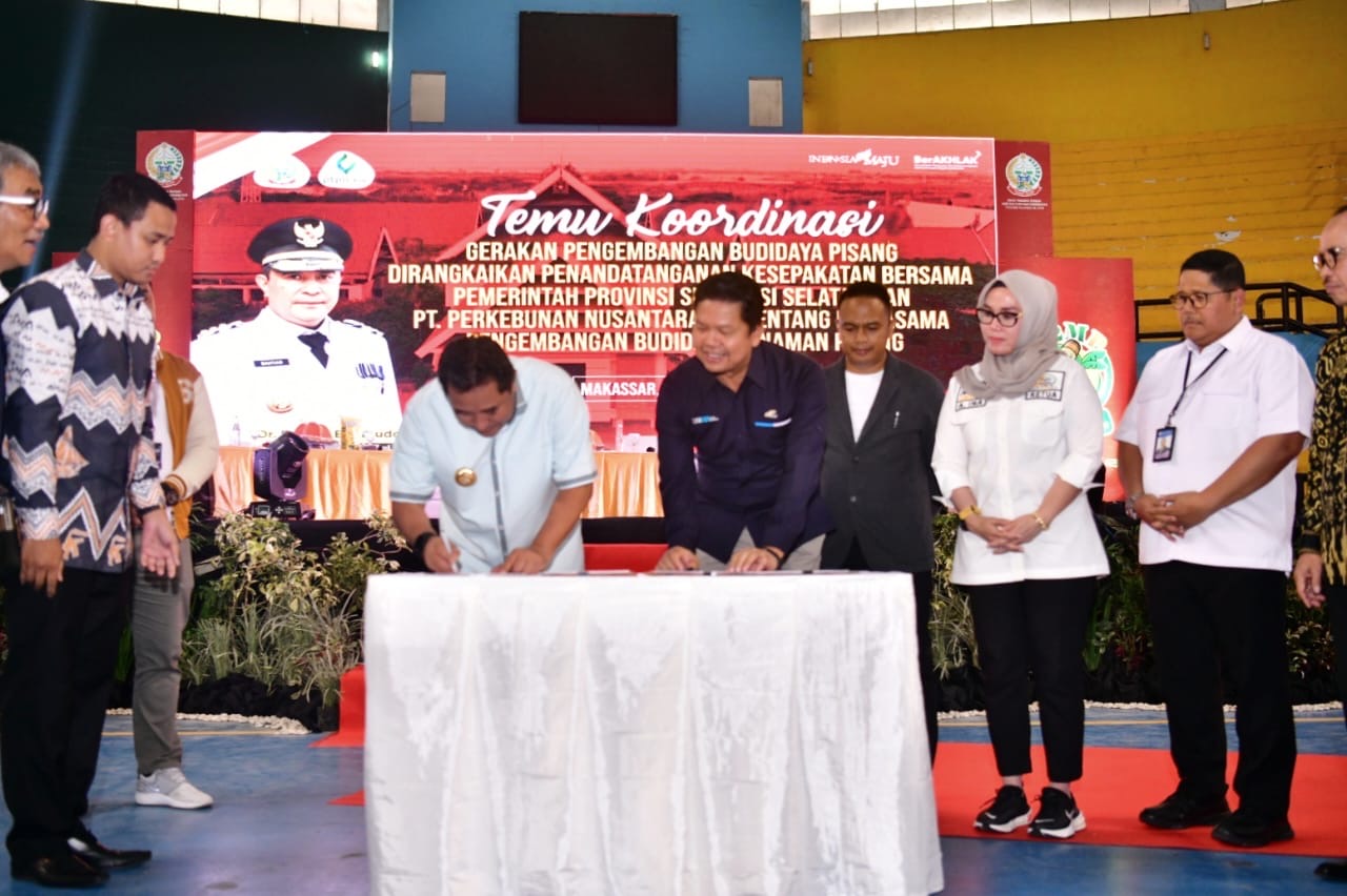 Pemprov Sulsel Kerja Sama PTPN XIV untuk Pengembangan Budidaya Pisang