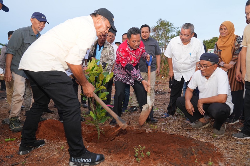 Penanaman Bibit Nangka Madu di Bulukumba, Pj Gubernur Bahtiar Ajak Masyarakat Manfaatkan Lahan Kosong