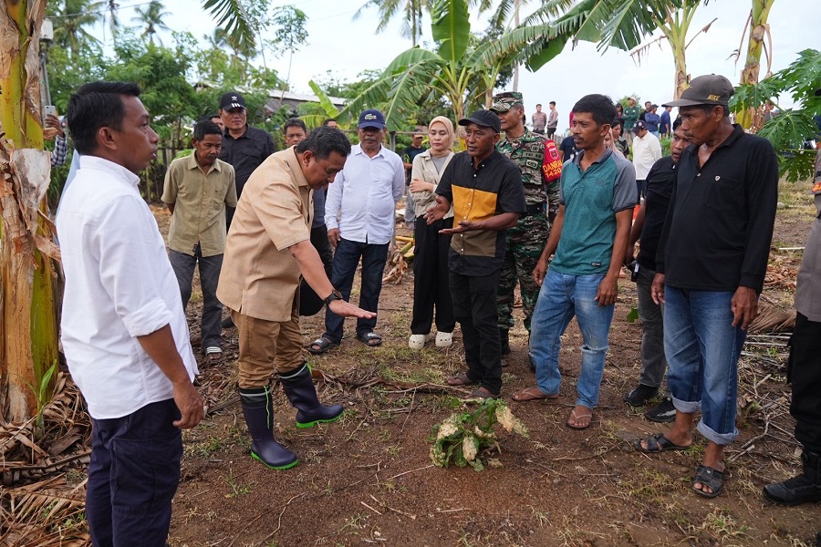 Berkunjung ke Desa Damai Sidrap Bersama Pimpinan DPRD, Pj Gubernur Bahtiar Tanam Beragam Jenis Hortikultura 