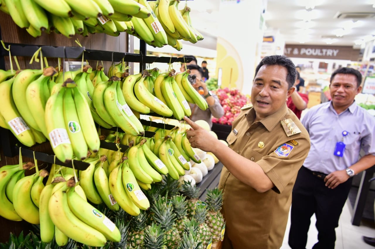 Sulsel Siap Penuhi Kebutuhan Pisang Cavendish Nasional Hingga Ekspor 