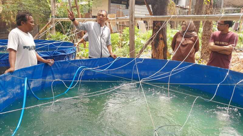 Apresiasi Kreativitas Masyarakat, Pj Wali Kota Akbar Ali Dukung Budidaya Ikan Air Tawar di Parepare