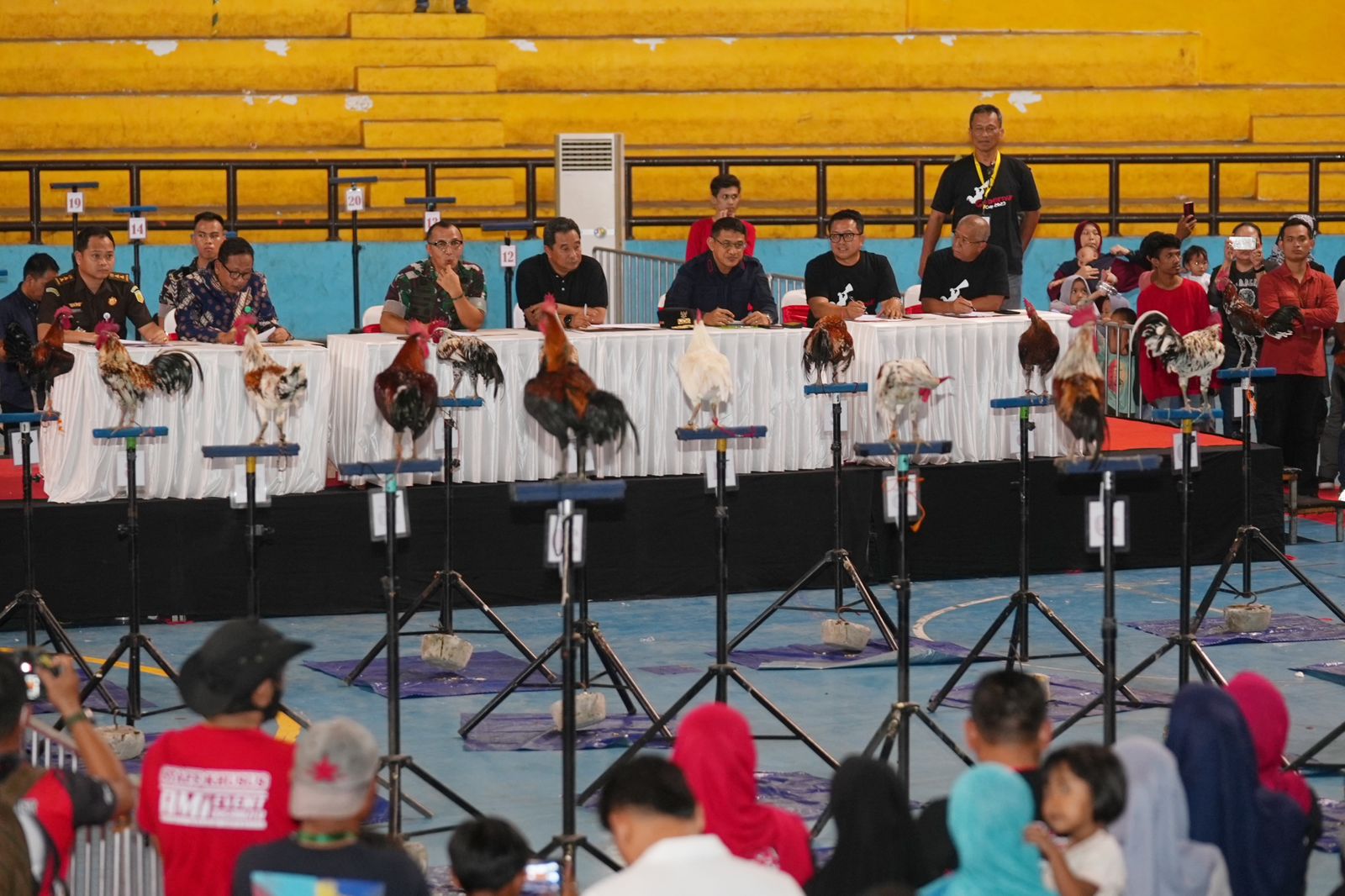 Kontes Ayam Ketawa Gubernur Cup 2023, Diakui Awal Kebangkitan Ayam Khas Sulsel