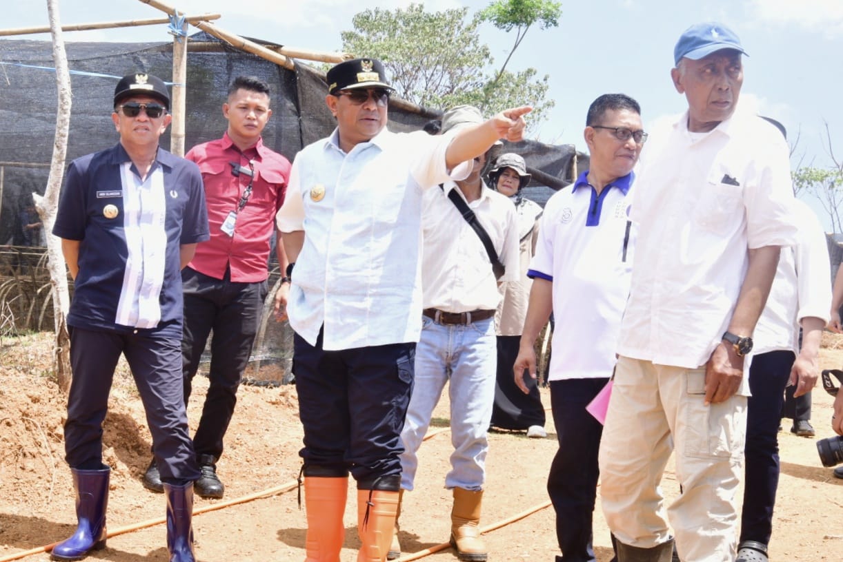 50 Ribu Benih Nila Dilepas di Embung Kecamatan Mare, Untuk Tingkatkan Ketahanan Pangan