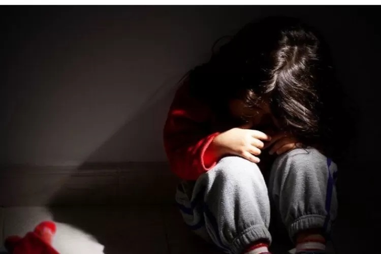 Modus Pinjamkan Ponsel, Pria 27 Tahun Cabuli Balita Anak Tetangga