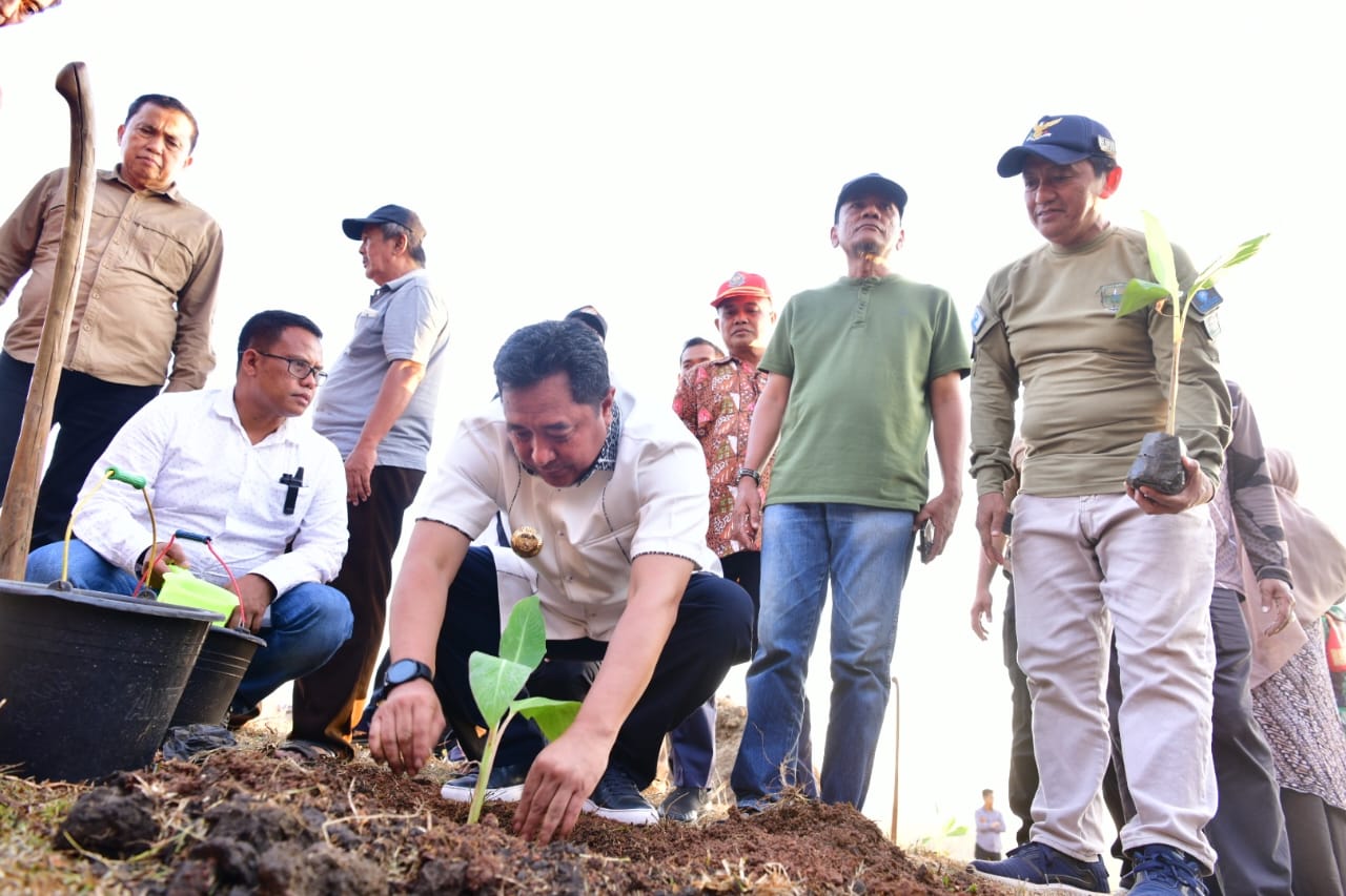 Budidaya Pisang, Pj Gubernur Bahtiar Tanam Perdana di Mare Bone