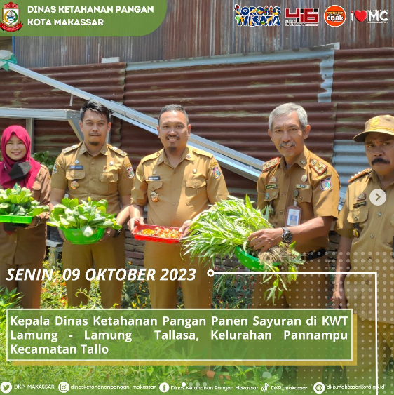 Kadis Ketahanan Pangan Hadiri Undangan Panen Sayuran di KWT Lamung-lamung Tallasa