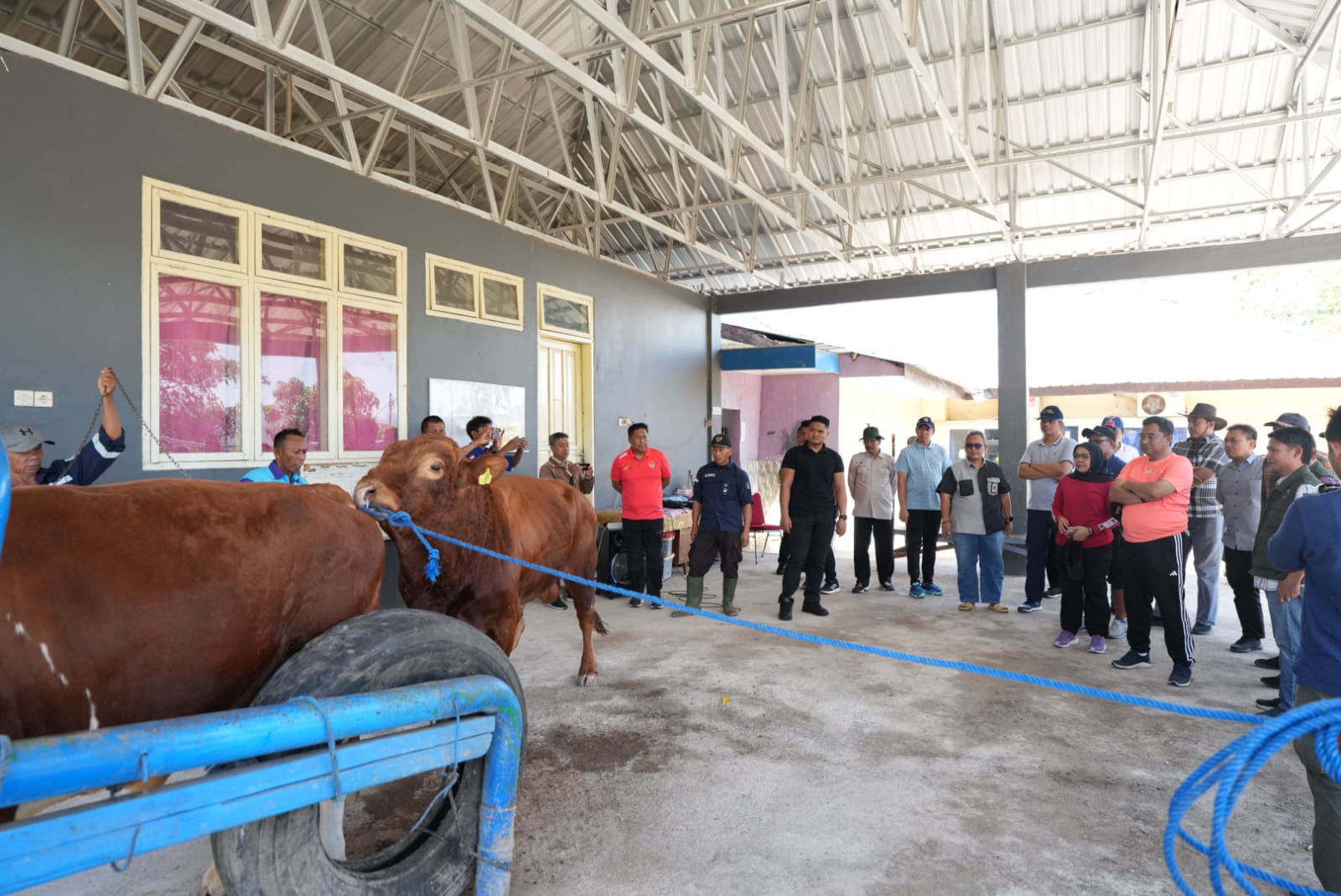 Berkunjung ke UPT PIBPS di Pucak Maros, Pj Gubernur Bahtiar Dorong Inseminasi Buatan Tingkatkan Populasi Ternak 
