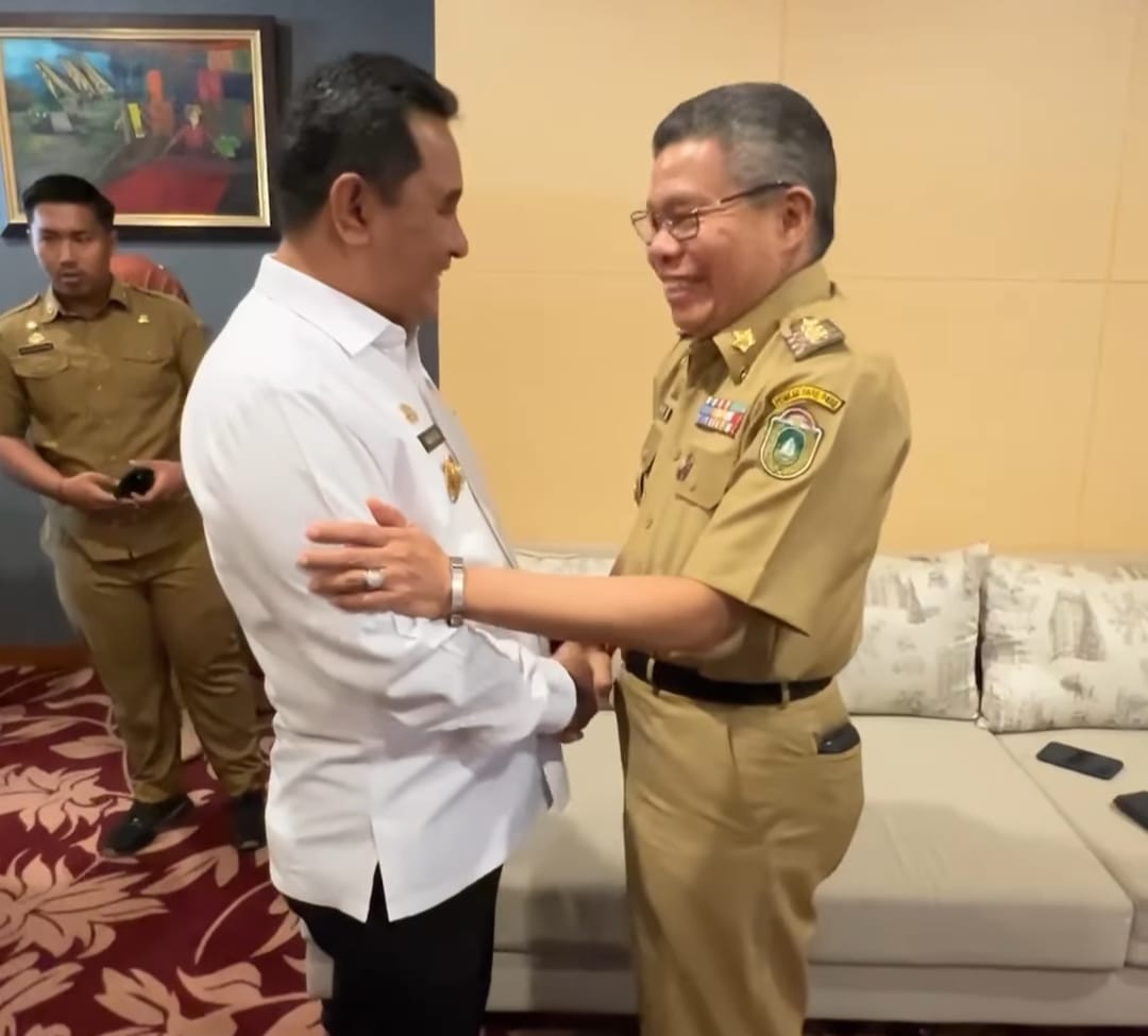Bertemu Pj Gubernur, Taufan Pawe Harap Pemkot Parepare dan Pemprov Sulsel Terus Bersinergi Lanjutkan Pembangunan 